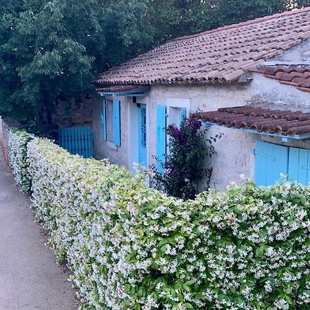 Vila Majda Tar-Vabriga Zewnętrze zdjęcie