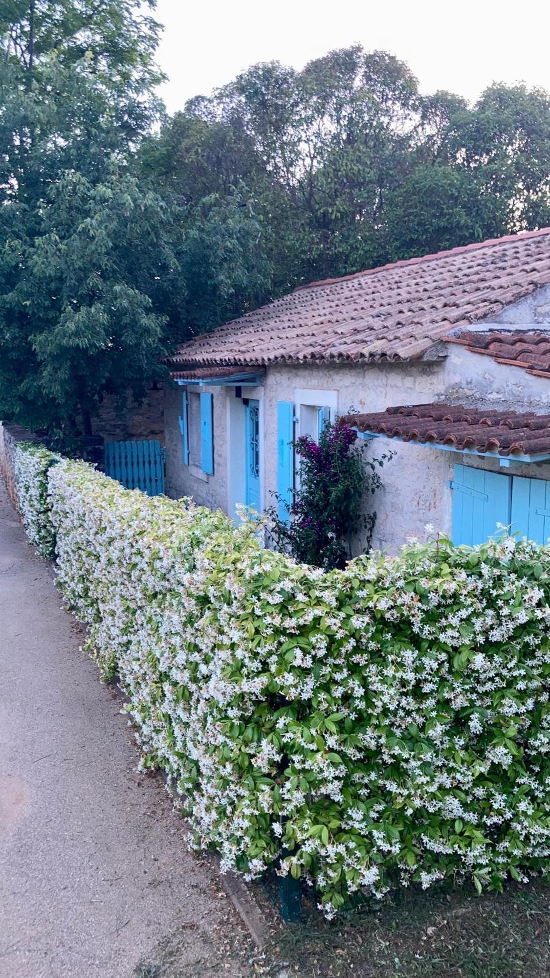 Vila Majda Tar-Vabriga Zewnętrze zdjęcie